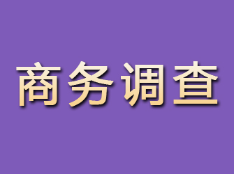 连江商务调查